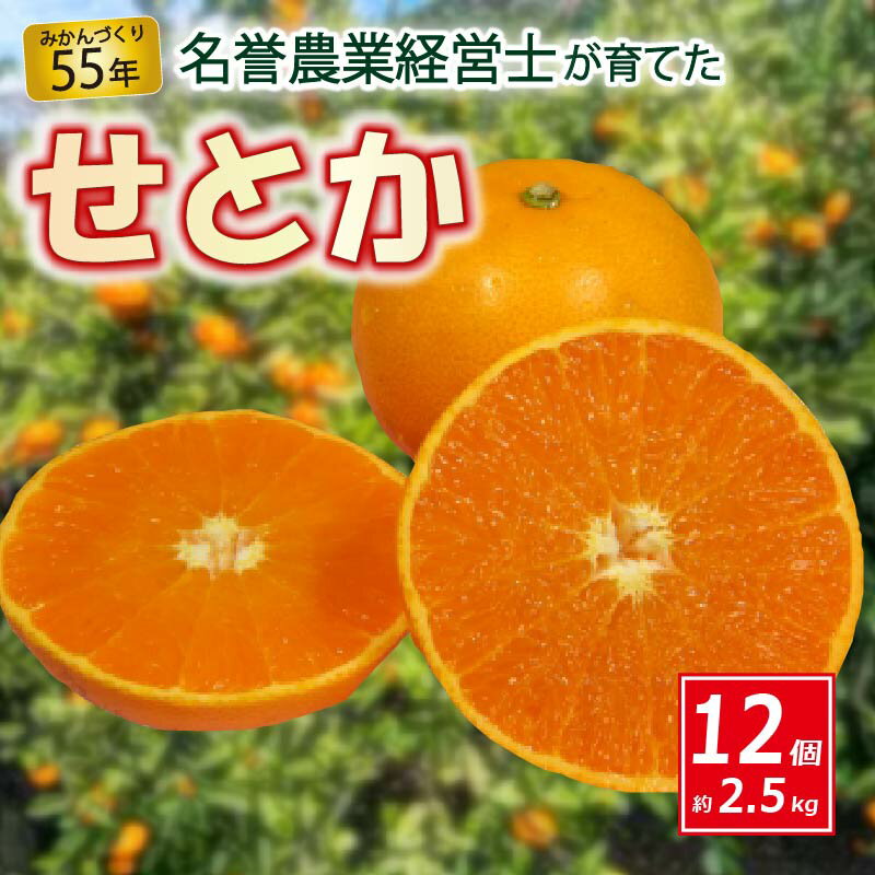 【ふるさと納税】 せとか 12個 約 2.5 kg 【 はら みかん 農園 】 柑橘 オレンジ 沼津 静岡 フルーツ 直送 数量 限定のサムネイル