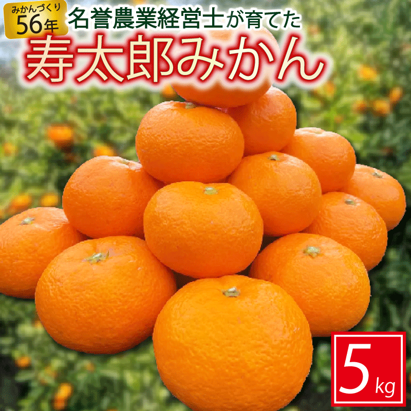 楽天静岡県沼津市【ふるさと納税】 寿太郎 みかん 5kg M - 2L 柑橘 ミカン フルーツ はらみかん 農園 熟成 直送 数量 限定 甘い 果物 旬 贈答用 ギフト 贈り物 冬 特産品 産地直送 柑橘類 果汁 ビタミンC 健康 沼津市 静岡県