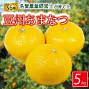 【ふるさと納税】 豆州 あまなつ 約 5 kg 【 はら みかん 農園 】 柑橘 オレンジ 沼津 静岡 数量 限定