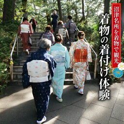 【ふるさと納税】 沼津の名所を着物で散歩 着付け 散歩 観光 沼津市 着物 レンタル