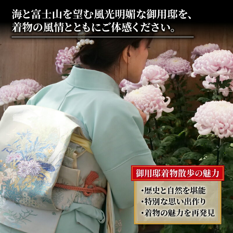 【ふるさと納税】 沼津の名所を着物で散歩 着付け 散歩 観光 沼津市 着物 レンタルその2