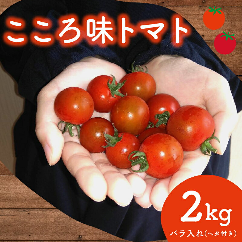トマト プチ プチトマト ミニ ミニトマト 新鮮 摘みたて 就労支援 こころみファーム こころ味トマト