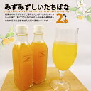 【ふるさと納税】 ジュース 柑橘 200ml × 2本 果物 国産 贈答用 敬老の日 フルーツ 果汁 くだもの プレゼント ギフト たちばな 橘 戸田 沼津 静岡