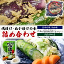 【ふるさと納税】 浅漬け ぬか漬け の素 セット 72袋 ぬかみそ 2.4kg 簡単 個包装 容器付き ぬか床 発酵 食品 旨味 唐辛子 刻み昆布 漬物 漬け物 野菜 きゅうり 大根 白菜 キャベツ 健康 乳酸菌 発酵食品 伝統食 糠 沼津市 静岡県
