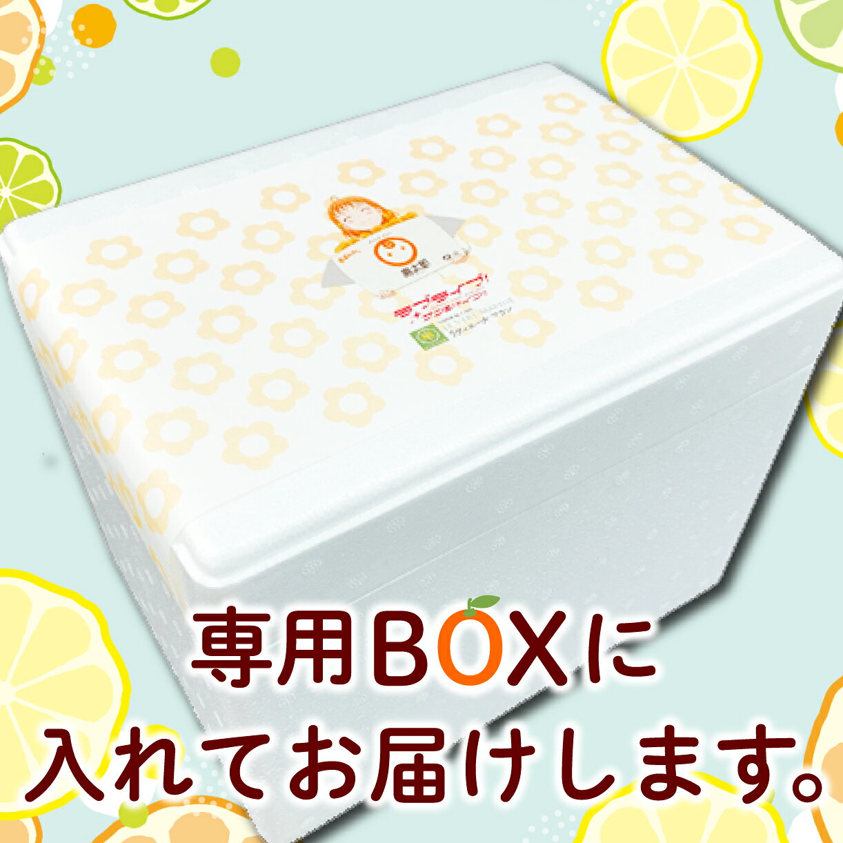 【ふるさと納税】 ラブライブ!サンシャイン!! みかん アイス ゼリー ・ ジェラート セット 2種類 各6個 寿太郎 みかん 使用 — vista 3