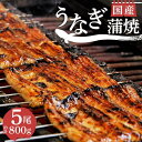 【ふるさと納税】 うなぎ 蒲焼 国産 鰻 5尾 800g 真空 小分け 丑の日 沼津 うなよし