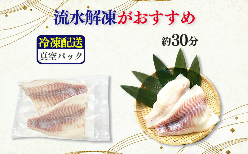 【ふるさと納税】 真鯛 刺し身 お刺身 3枚おろし 沼津産 500g 700g 1尾 真空パック 2