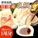 【ふるさと納税】 真鯛 刺し身 お刺身 3枚おろし 沼津産 500g 700g 1尾 真空パック 鮮魚 海鮮 鯛 たい タイ 刺身用 鮮度抜群 高級魚 贈答用 ギフト お中元 お歳暮 おつまみ 鯛料理 魚介類 新鮮 簡単調理 便利 人気 沼津市 静岡県