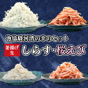 【ふるさと納税】 釜揚げ しらす 桜えび 生シラス 500g 4種 セット 小分け 駿河湾 沼津市 静岡