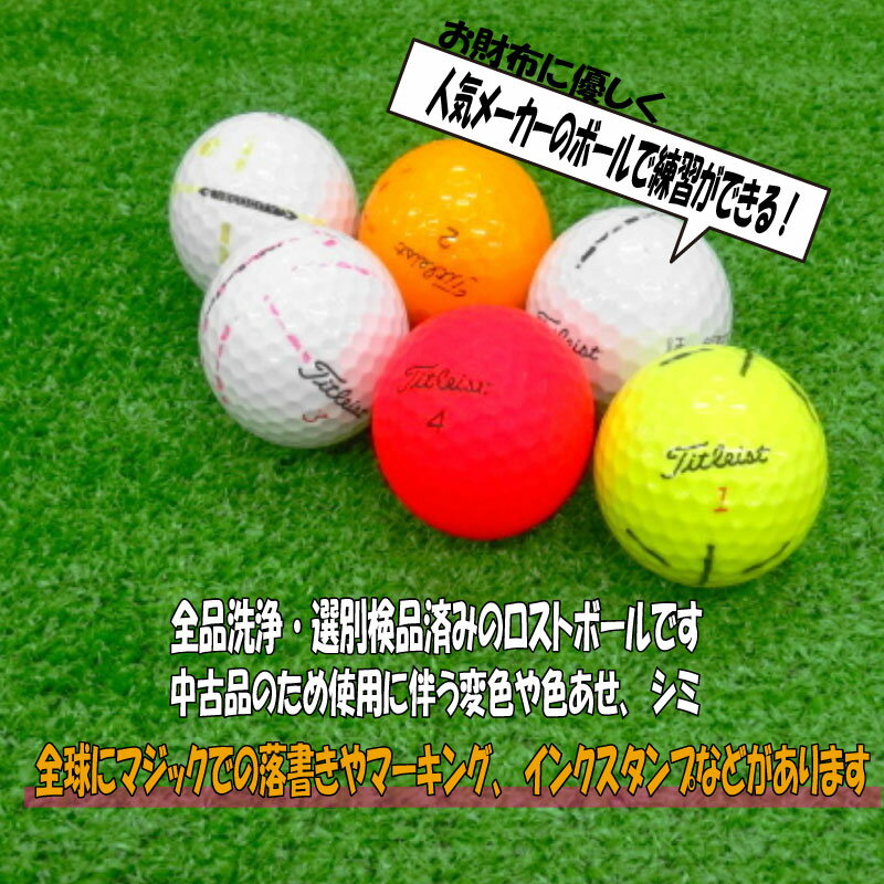 【ふるさと納税】 ゴルフ ボール 20球 セット 中古 ロストボール titleist タイトリスト 訳あり WRランク ゴルフボール 6000円 10000円以下 1万円以下