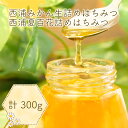 【ふるさと納税】 はちみつ 蜂蜜 100g 3本 セット みかん 純粋 ハチミツ 夏百花 温州 みかん ローハニー ミカン 蜜柑 柑橘 静岡県 沼津市 伊豆 半...