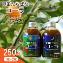 【ふるさと納税】 クラフトコーラ 250ml 柑橘 たちばな 橘 戸田 コーラ アレンジ 贈答 ギフト プレゼント 瓶 戸田たちばなコーラ 静岡県 静岡 沼津 沼津市