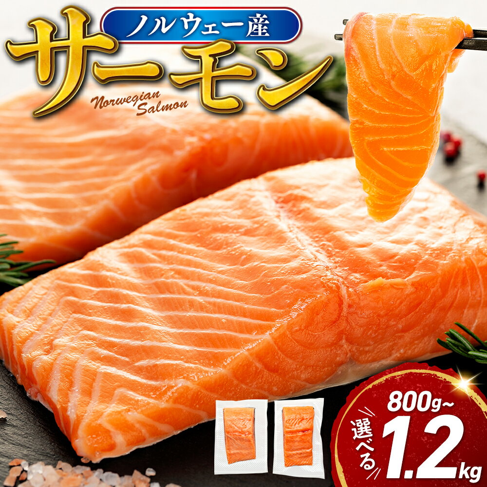 サーモン ノルウェー産 容量 が 選べる 800g 1.2kg 刺身 まるが水産 父の日 指定日可 冷凍 鮭 さけ 海鮮 ふるさと納税 サーモン 訳あり ふるさと納税 訳あり ふるさと サーモン ふるさと納税 人気 ふるさと納税 ランキング 魚介 生食用 解凍 静岡 沼津