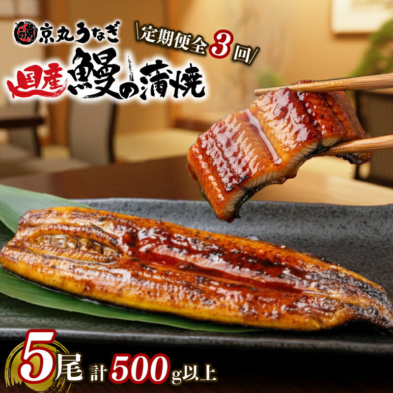 30位! 口コミ数「21件」評価「4.76」 【3カ月定期便】うなぎ 蒲焼 国産 5尾 計約500g以上 静岡 うなぎ処京丸 蒲焼き unagi 鰻 ウナギ 国産うなぎ かば焼き 鰻蒲焼 うなぎ蒲焼き うな重 冷凍 土用 丑の日 定期便 人気 ･･･ 