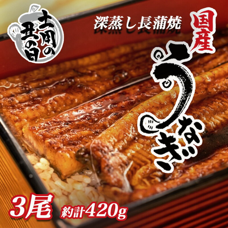 【ふるさと納税】 土用 の 丑の日 対応 うなぎ 蒲焼 国産