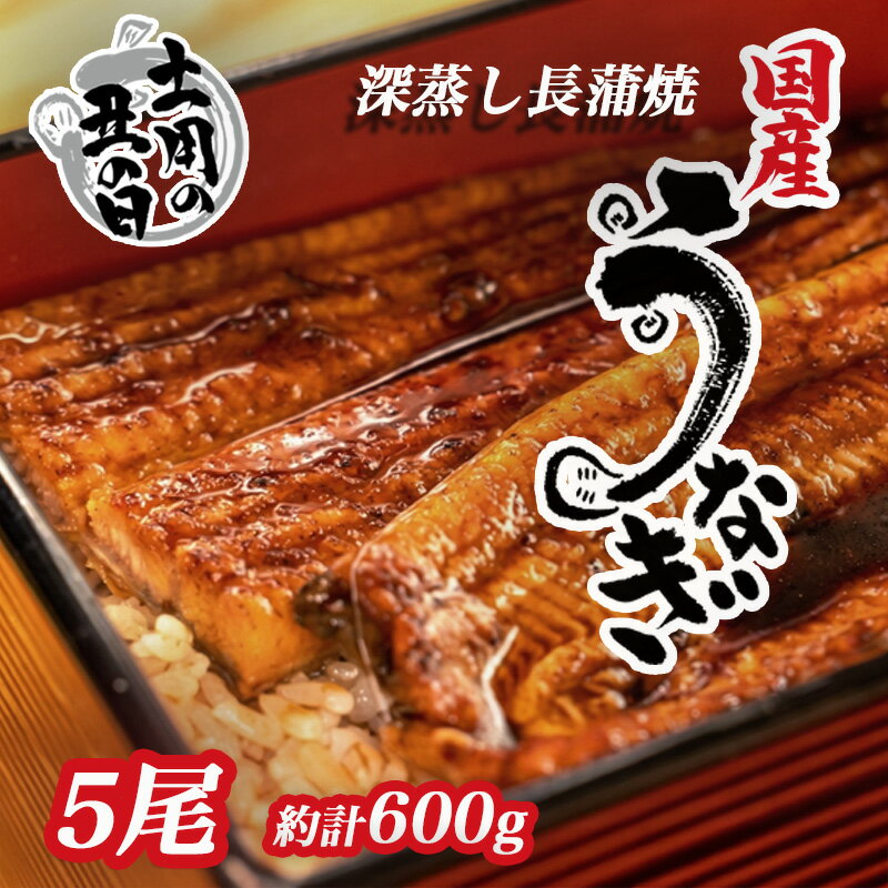 【ふるさと納税】 土用 丑の日 対応 うなぎ 蒲焼 国産 5