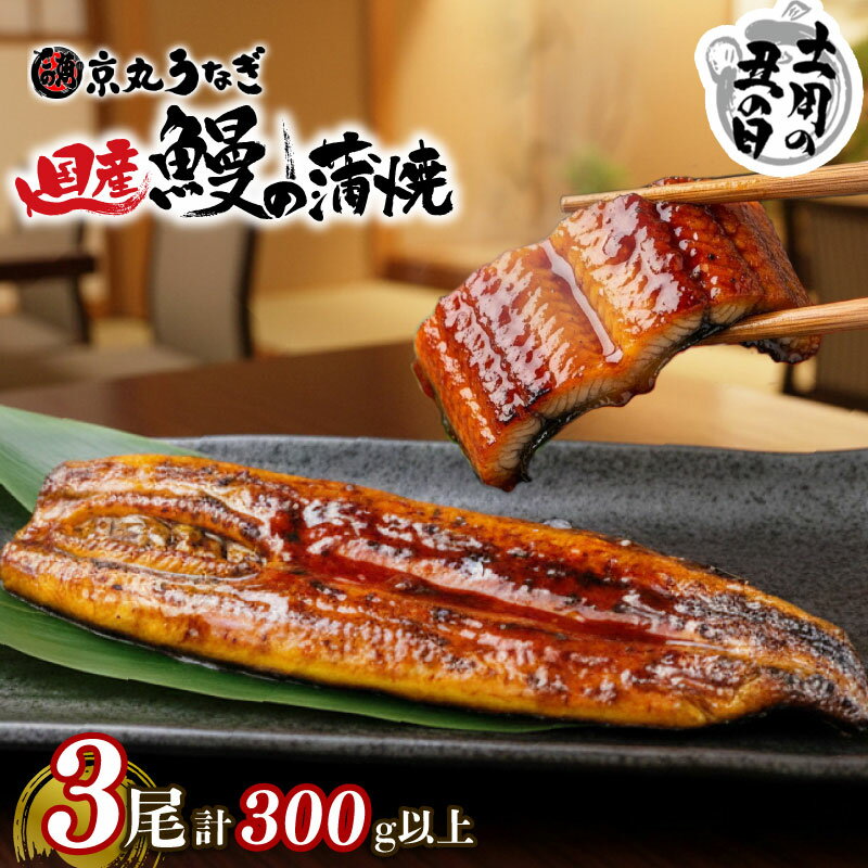 【ふるさと納税】 うなぎ 蒲焼 国産 3尾 計約300g以上