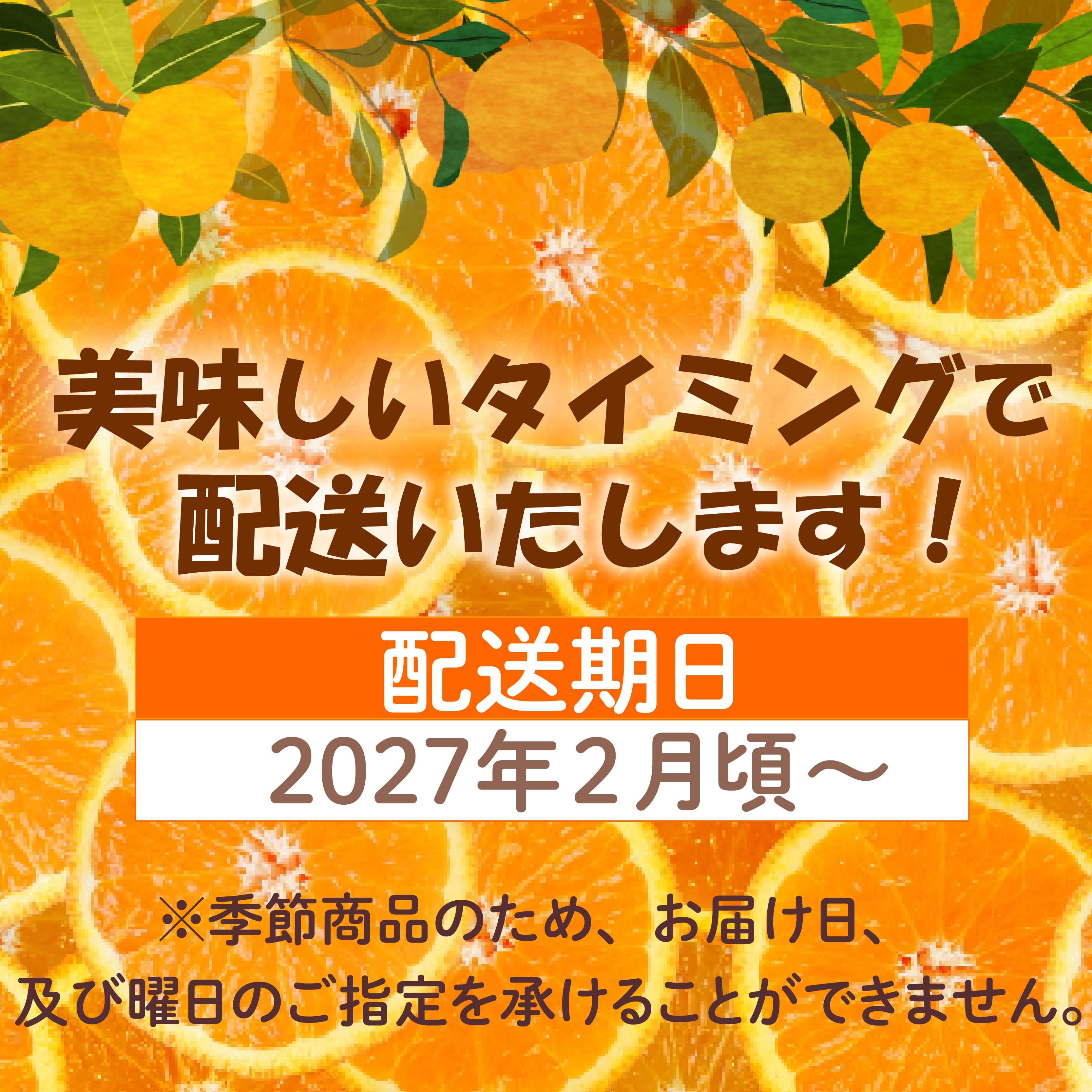 【ふるさと納税】 訳あり 寿太郎みかん 約 3kg～8kg 産地直送 柑橘 ミカン mikan フルーツ 果物 蜜柑 オレンジ ご家庭用 訳アリ 甘い 糖度 季節 旬 旬の果物 柑橘類 国産 沼津市 静岡県 f222038-numazu-10002165 静岡県沼津市 サンプル画像3