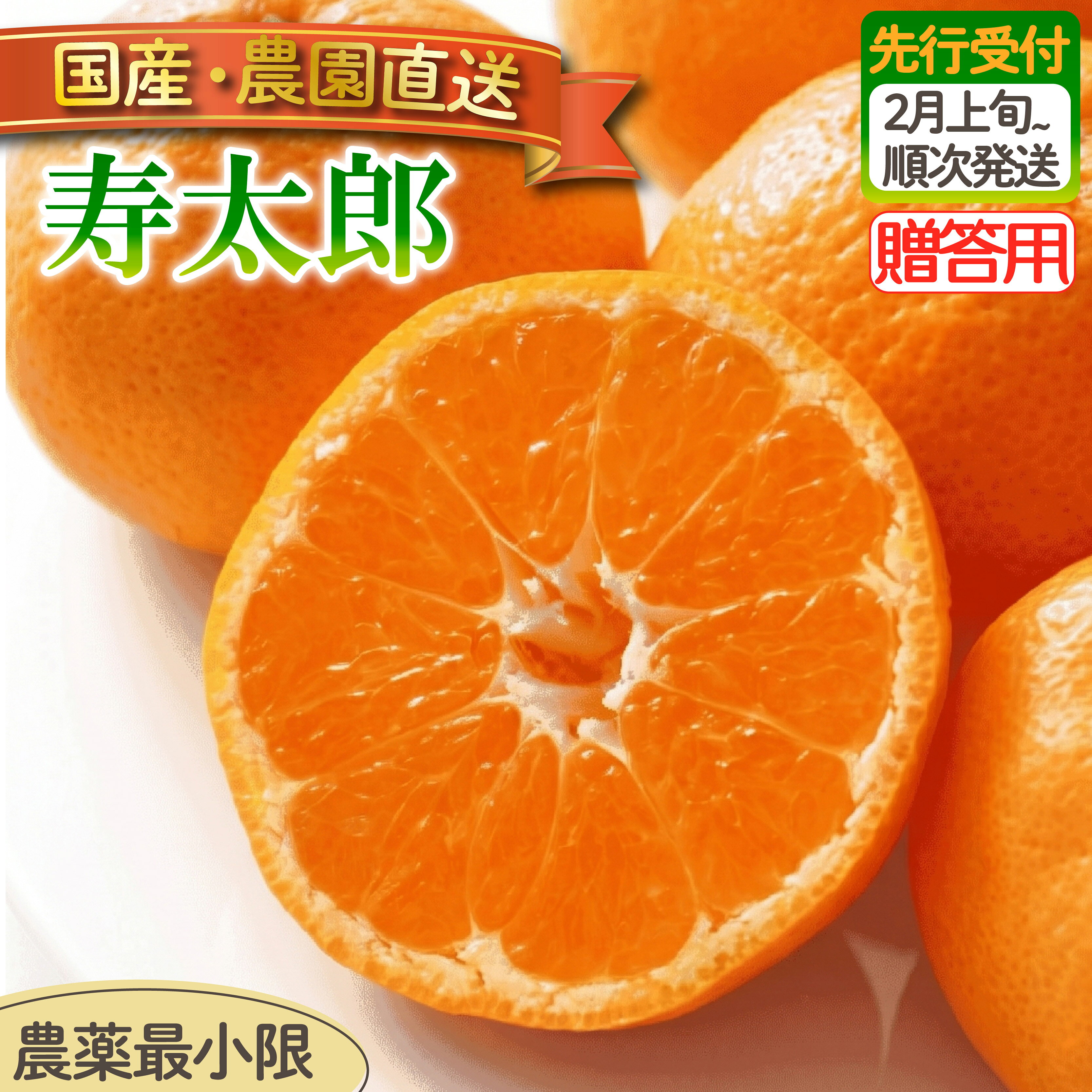 贈答用 寿太郎 みかん 3kg 5kg 選べる容量 | 木負観光みかん園 ミカン オレンジ 蜜柑 柑橘 フルーツ 旬 果物 国産 産地直送 季節限定 西浦 沼津市 静岡県