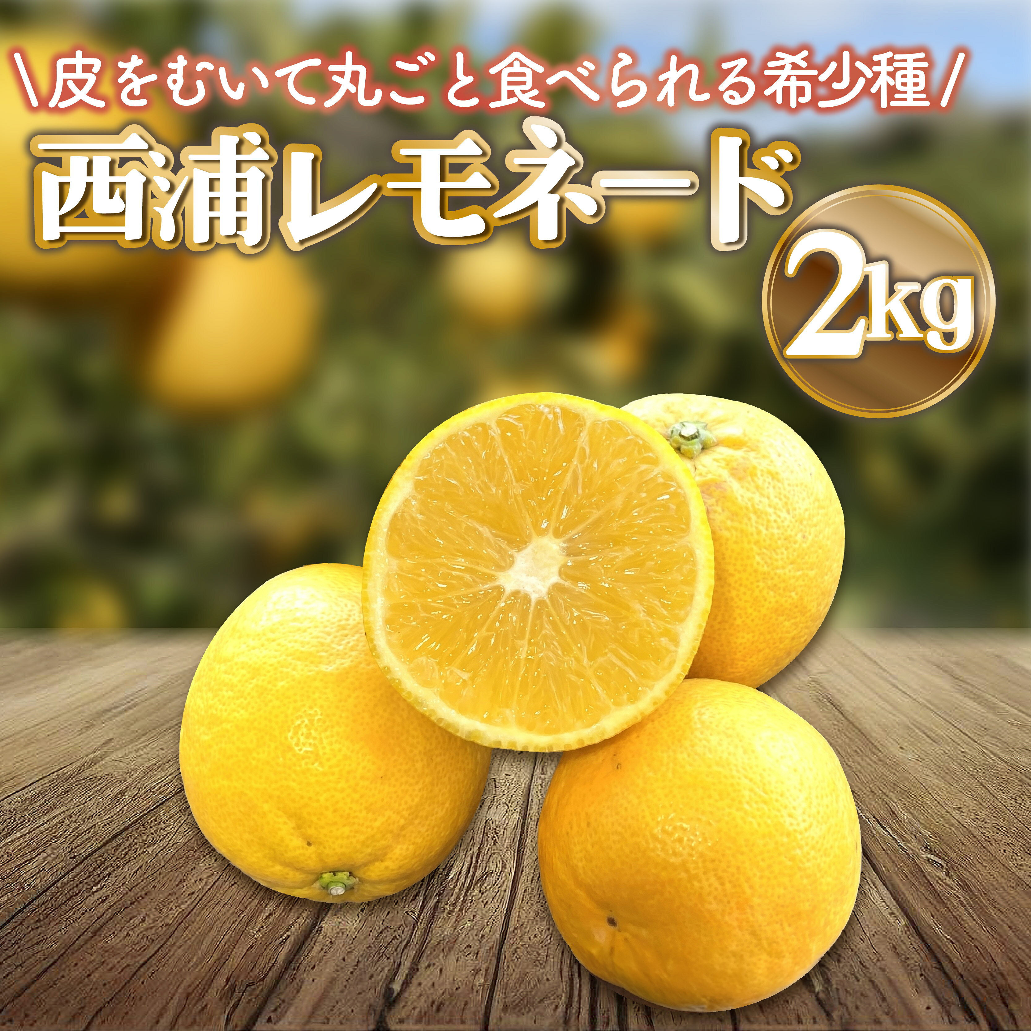 レモネード 約 2kg 産地直送 檸檬 柑橘 レモン フルーツ 果物 蜜柑 ご家庭用 贈答用 ギフト 沼津 静岡 みかん畑 リブロ