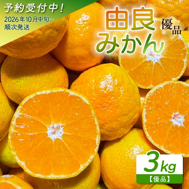 【ふるさと納税】 由良 みかん 3kg 産地直送 予約受付 柑橘 みかん フルーツ 果物 蜜柑 中玉 時期 旬 季節限定 西浦 おいしい 優品 丸榮 国産 静岡 沼津