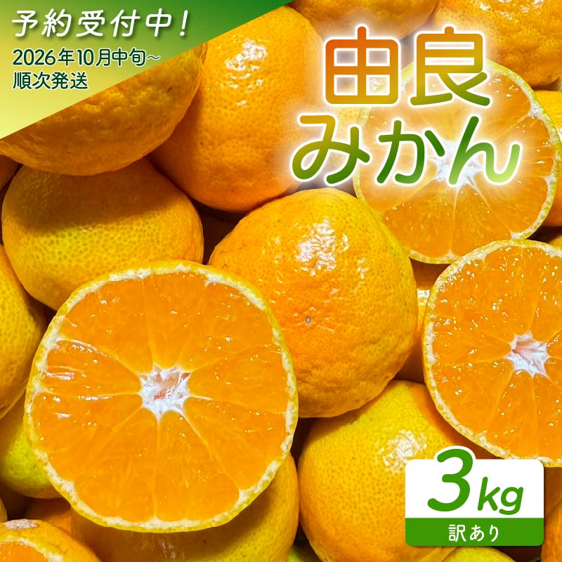 訳あり 由良 みかん 3kg 産地直送 予約受付 柑橘 みかん フルーツ 果物 蜜柑 中玉 時期 旬 季節限定 西浦 おいしい 丸榮 国産 静岡 沼津 ご家庭用