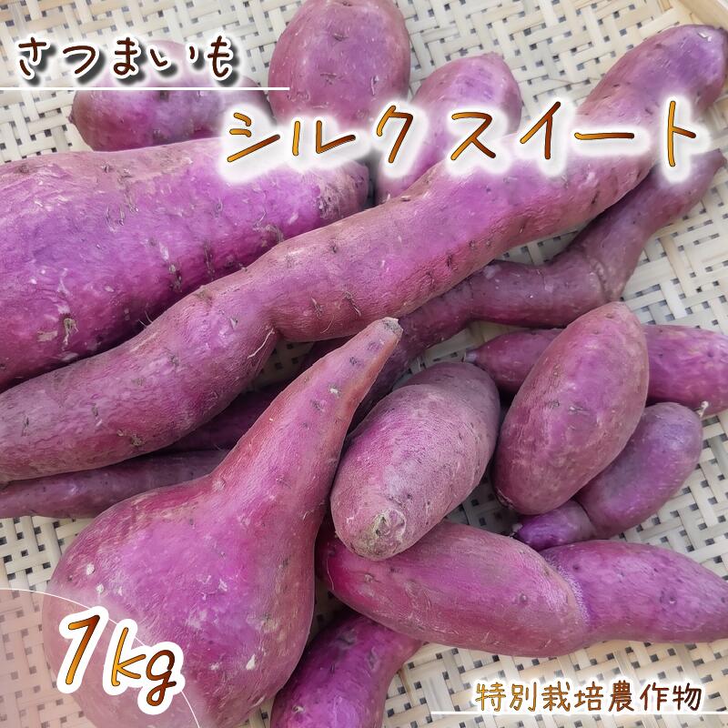 【ふるさと納税】さつまいも シルクスイート 1kg 特別栽培 産地直送 農家直送 富士山 の 湧水 で つくる 美味しい 旬 お野菜 新鮮 静岡県 沼津市 やまひろ農園