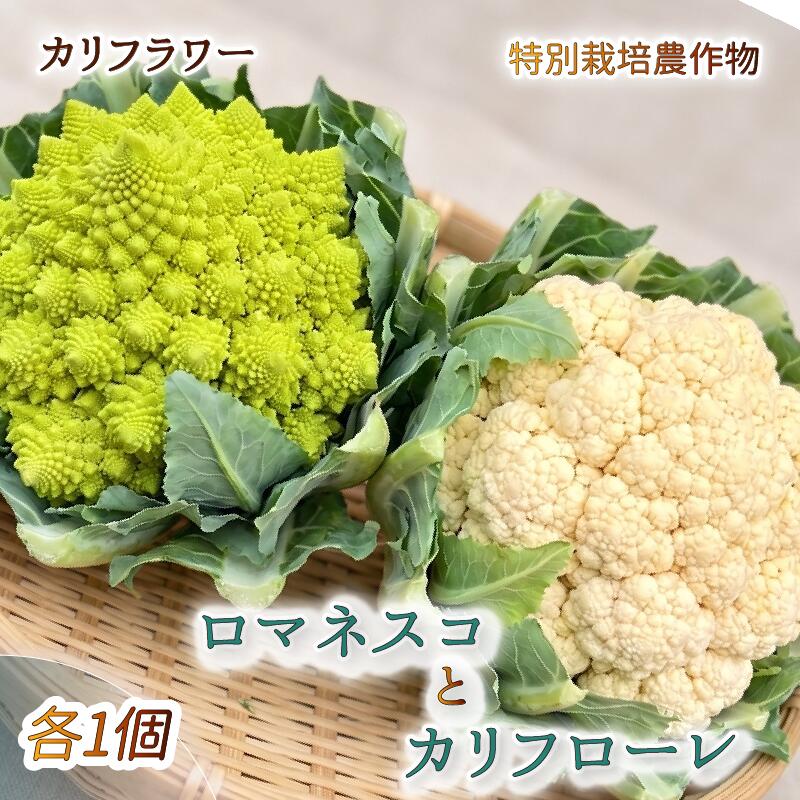 【予約受付】カリフラワー ロマネスコ と カリフローレ 特別栽培 産地直送 農家直送 美味しい 旬 お野菜 新鮮 静岡県 沼津市 やまひろ農園