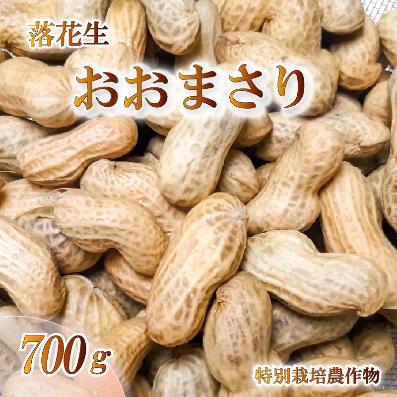 [2026年発送] 落花生 おおまさり 700g やまひろ農園 おつまみ 新鮮 今が旬 旬の野菜 冷蔵 豆 静岡県 沼津市 国産 ピーナッツ おやつ