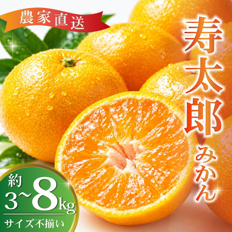 訳あり 寿太郎みかん 約 3kg～8kg 産地直送 柑橘 ミカン mikan フルーツ 果物 蜜柑 オレンジ ご家庭用 訳アリ 甘い 糖度 季節 旬 旬の果物 柑橘類 国産 沼津市 静岡県