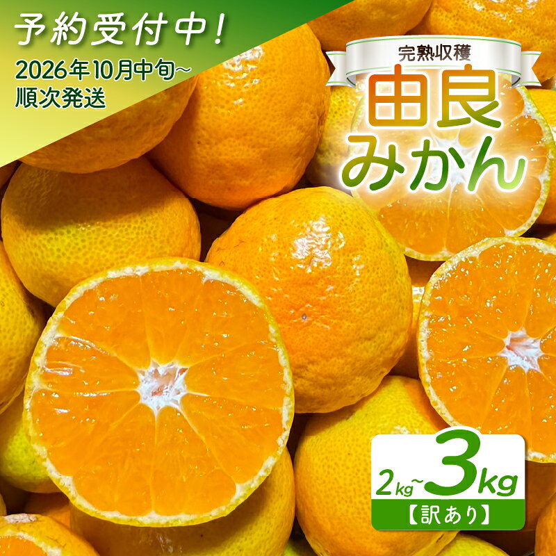 【ふるさと納税】 【訳あり】 由良 みかん 2～3kg 予約受付 産地直送 小玉 中玉 混合 柑橘 みかん フルーツ 果物 蜜柑 時期 旬 季節限定 西浦 おいしい 丸榮 国産 静岡 沼津 ご家庭用 f222038-numazu-10001891 静岡県沼津市 パッケージ画像