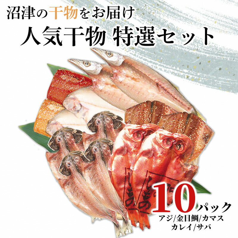 干物 2023特選 10パック セット 人気 7種 真アジ カマス 金目鯛 カレイ サバ塩 アジ醤油 サバ醤油 加倉水産 ギフト 贈答