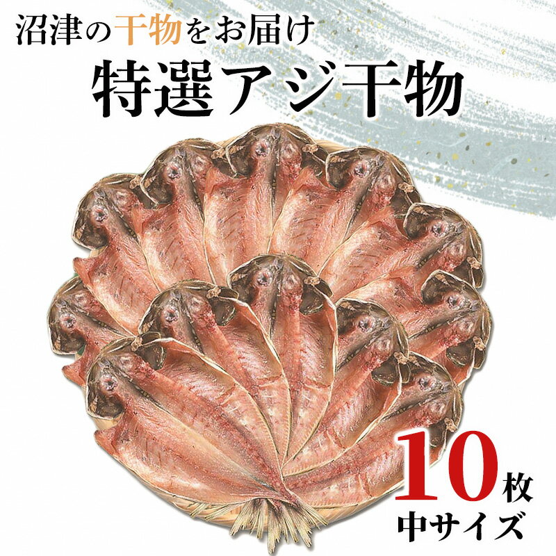 干物 特選 真アジ ひもの 中サイズ 2枚入 5パック 計10枚 沼津 加倉水産