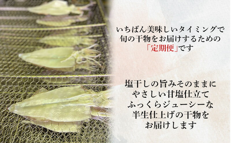 【ふるさと納税】 定期便 3ヶ月 干物 基本コース 旬の魚 沼津 加倉水産 人気 ひもの お楽しみ 詰め合わせ