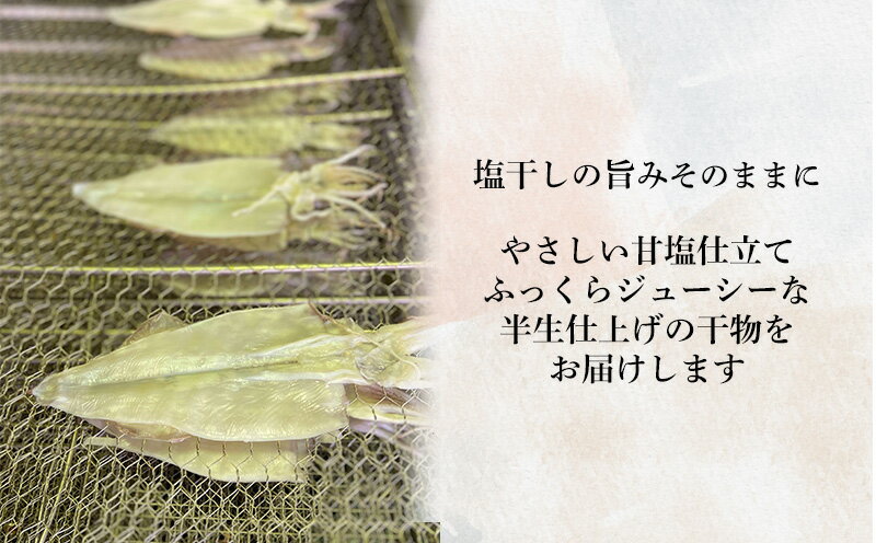 【ふるさと納税】 干物 真アジ ギフト 沼津ひもの AWARD認定 限定セット 贈答 加倉水産 お歳暮