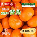 【ふるさと納税】 訳あり みかん 青島 3kg 西浦 蜜柑 柑橘 オレ...(4)