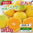 【ふるさと納税】 訳あり 予約受付 みかん 早生 5kg 減農薬 送料無料 西浦 蜜柑 柑橘 オレンジ