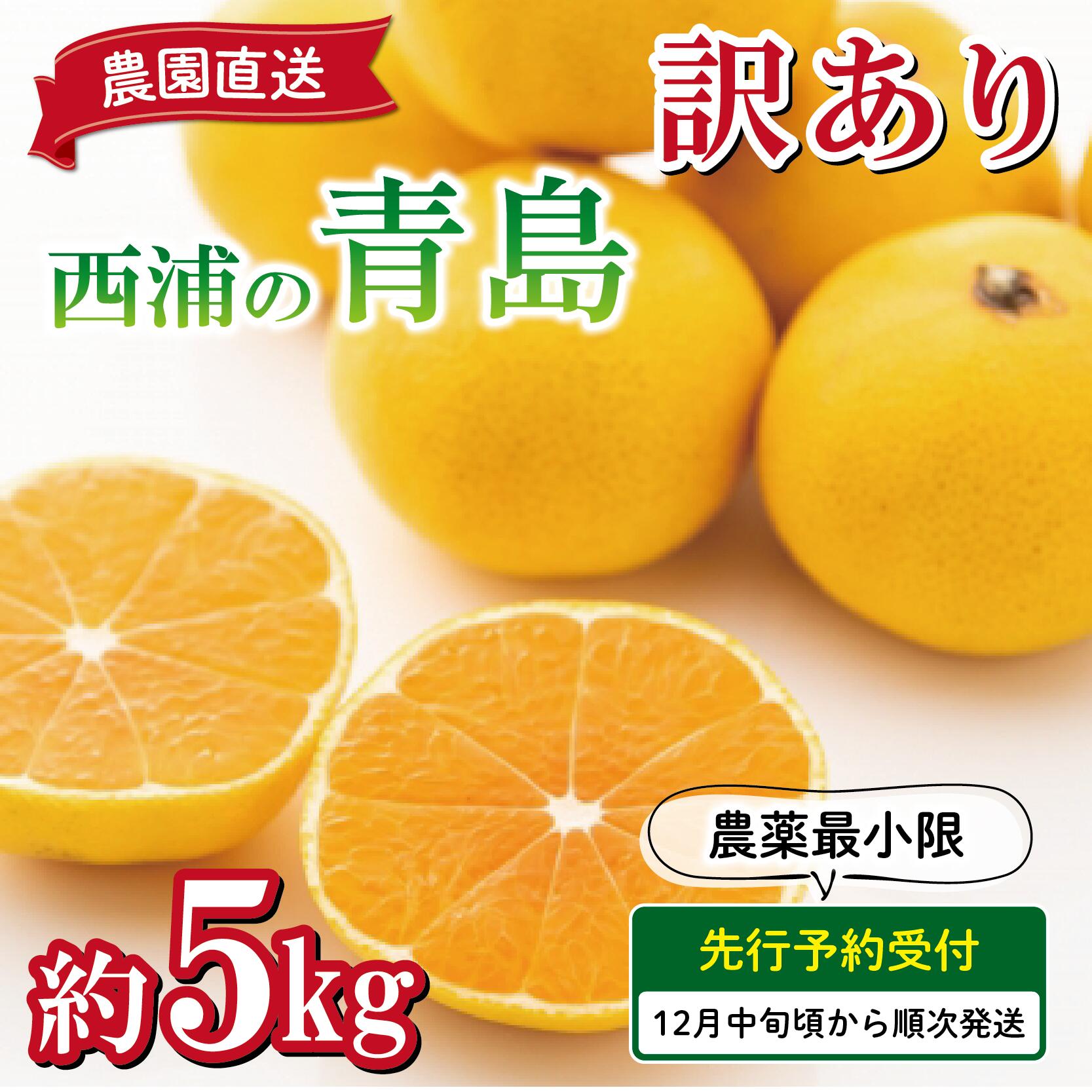 【ふるさと納税】 訳あり みかん 青島 5kg 減農薬 送料無料 西浦 蜜柑 柑橘 オレンジ 6000円 10000円以下 1万円以下