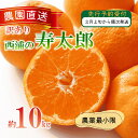 【ふるさと納税】 訳あり みかん 寿太郎 10kg 西浦 蜜柑 柑橘 オレンジ 木負観光みかん園