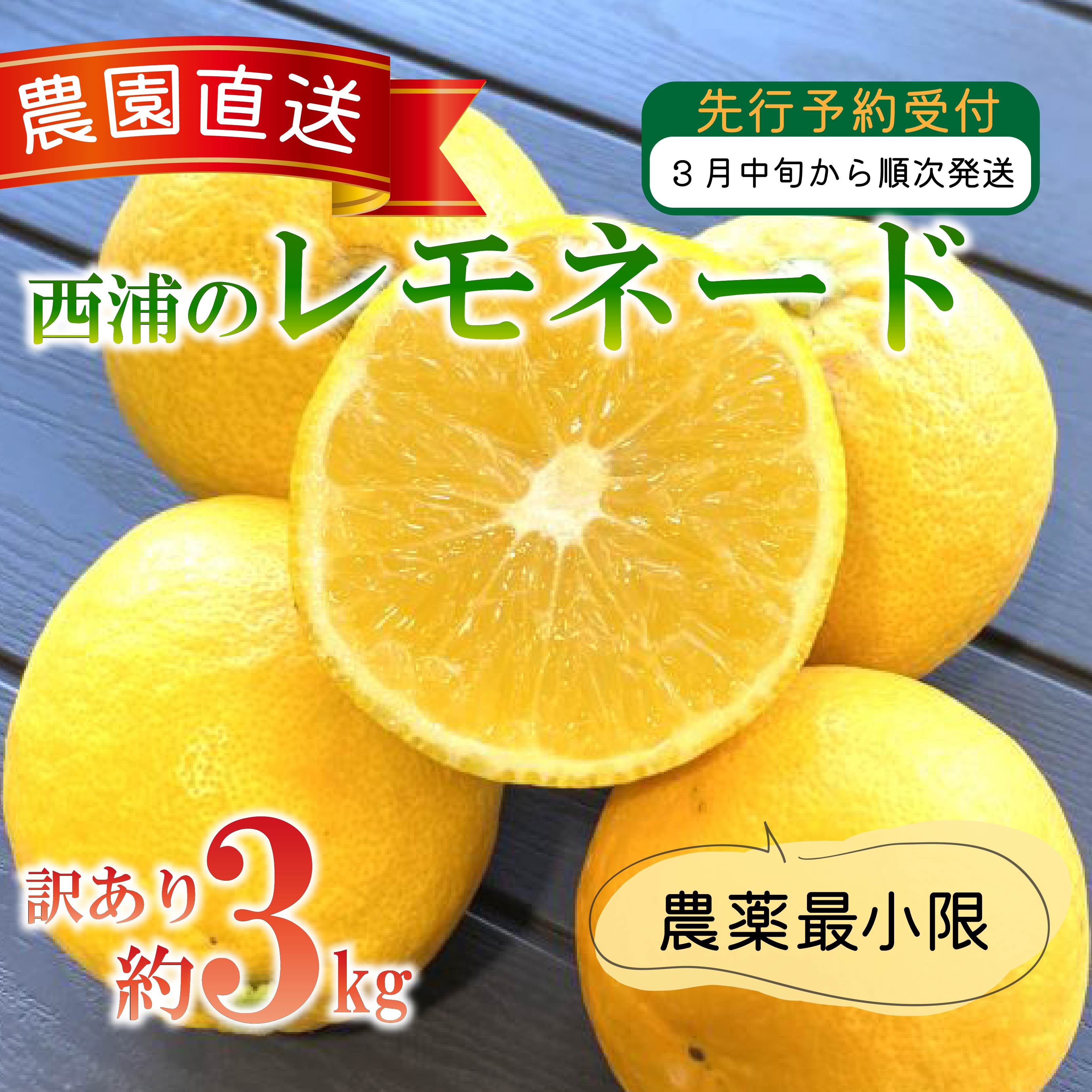 訳あり 西浦 レモネード 3kg 西浦 蜜柑 柑橘 オレンジ 減農薬 木負観光みかん園