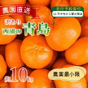 【ふるさと納税】 訳あり みかん 青島 10kg 西浦 蜜柑 柑橘 オレンジ 木負観光みかん園 ( 数量限定 みかん 果物 みかん フルーツ みかん 柑橘 みかん 国産 )
