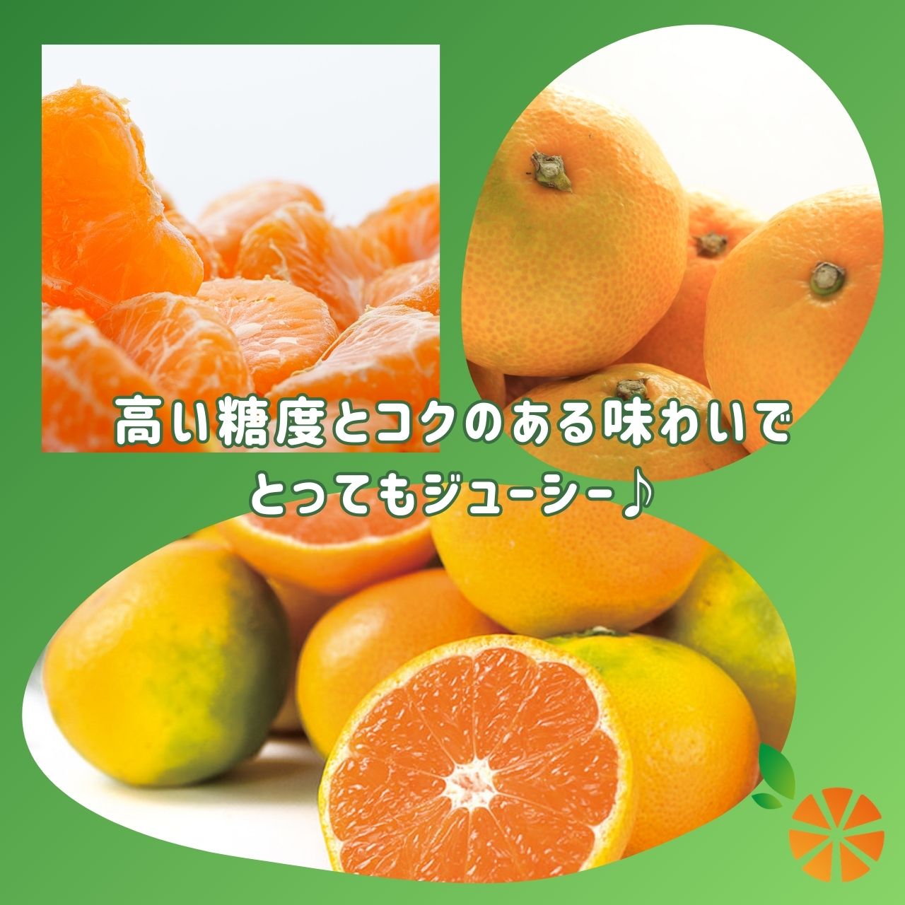 【ふるさと納税】 訳あり 由良 みかん 10kg 西浦 蜜柑 柑橘 オレンジ 数量限定 果物 フルーツ 国産 甘い 新鮮 ビタミンC 贈答用 家庭用 贈り物 ギフト 旬 産地直送 果汁 健康 美容 おやつ デザート 沼津市 静岡県