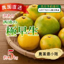 【ふるさと納税】 訳あり みかん 極早生 5kg 西浦 蜜柑 柑橘 オ...(4)