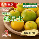【ふるさと納税】 訳あり みかん 極早生 3kg 西浦 蜜柑 柑橘 オ...(4)