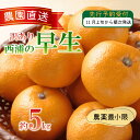 【ふるさと納税】 訳あり みかん 早生 5kg 西浦 蜜柑 柑橘 オレ...(4)