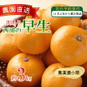 【ふるさと納税】 訳あり みかん 早生 3kg 西浦 蜜柑 柑橘 オレンジ ミカン ( 数量限定 みかん 果物 みかん フルーツ みかん 柑橘 みかん 国産 )