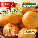 【ふるさと納税】 訳あり みかん 早生 10kg 西浦 蜜柑 柑橘 オ...(4)