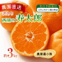【ふるさと納税】 訳あり みかん 寿太郎 3kg 西浦 蜜柑 柑橘 オ...(4)