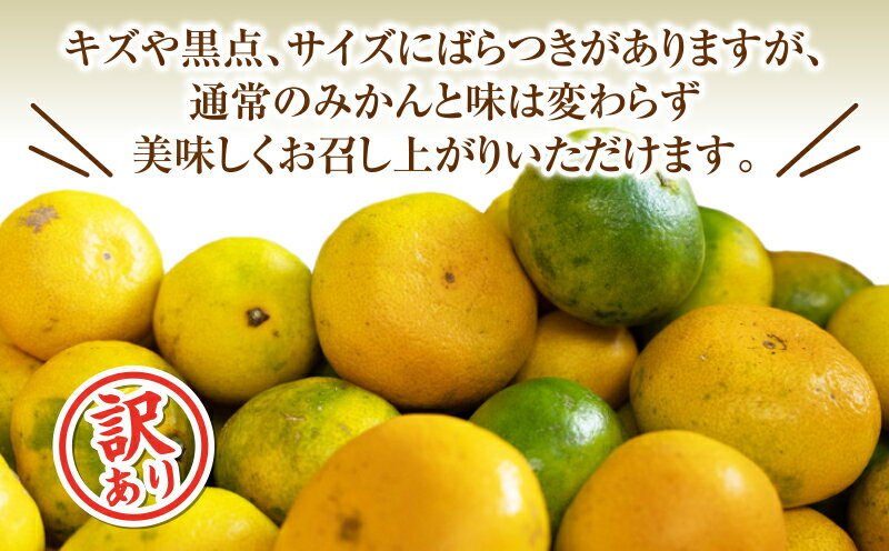 【ふるさと納税】 訳あり みかん 早生 10kg 西浦 蜜柑 柑橘 オレンジ 木負観光みかん園 ( 数量限定 みかん 果物 みかん フルーツ みかん 柑橘 みかん 国産 )