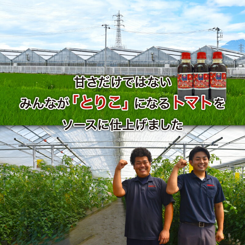 【ふるさと納税】 トマト たっぷり ソース 300ml×3本 トマト とまと とまとソース 丹那高原 トマトソース こだわり 揚げ物 調理 調味料 戸田塩 使用 甘口 中濃 まろやか 贈答用 ギフト 戸田塩 使用 静岡県 沼津市